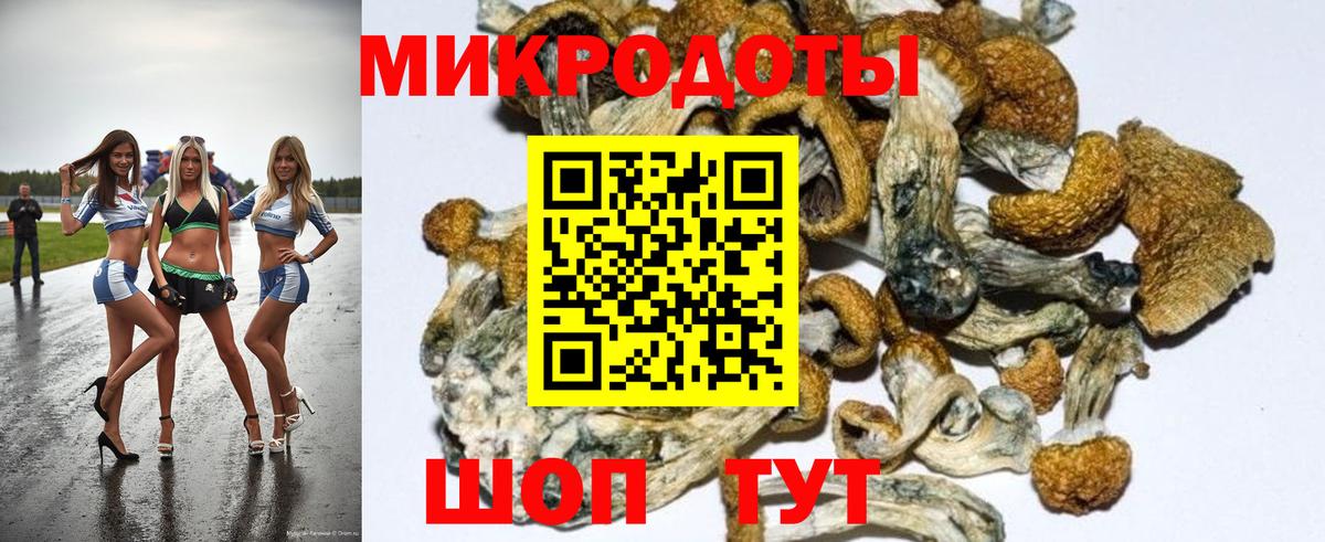 Галлюциногенные грибы ЛСД Железногорск